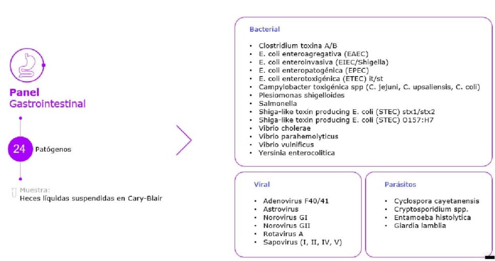 gastrointestinal-innovacion-revista_in_vitro_annar