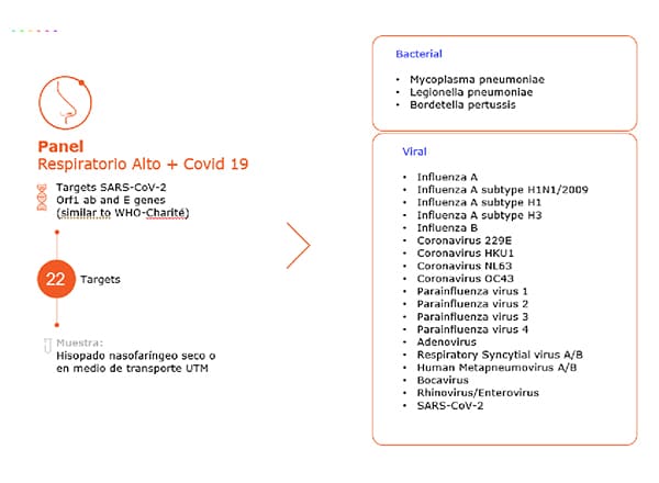 respiratorio-alto_innovacion_revista_in_vitro_annar