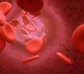 invitronewa-revista-de-salud-podcast-coagulacion-3d-render-blood-cells-flowing-through-arteries-veins (1)