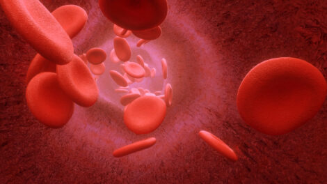 invitronewa-revista-de-salud-podcast-coagulacion-3d-render-blood-cells-flowing-through-arteries-veins (1)